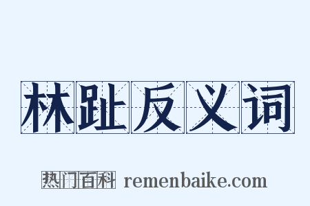 林趾反义词是什么意思的图片